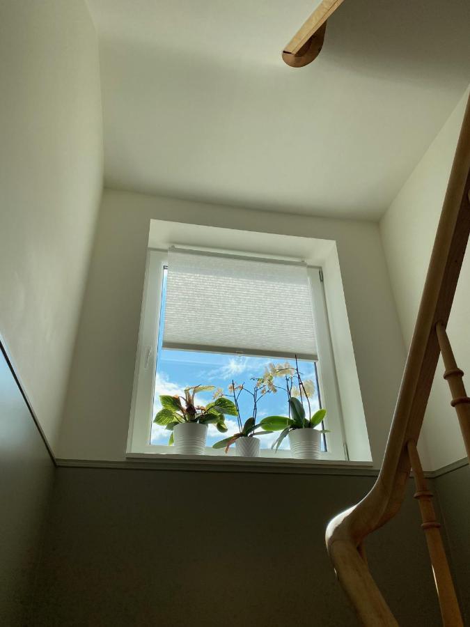 Logies-M Comfort Studios Inc Bikes B&B Oostende Eksteriør billede